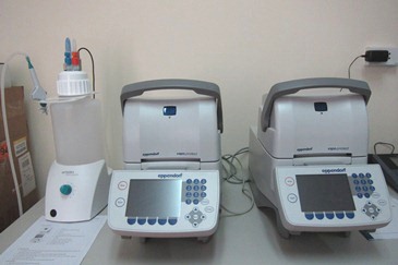 TB nhan gen PCR